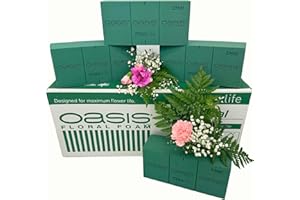 Homeland Florists Oasis Flower Foam 4 Pack, Green, 22x11x7.5cm
