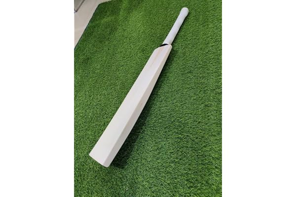 SAG Timeless Edition English Willow Cricket Bat Full Size Thick Edges Singapore Cane Handle Ready to Play for Leather Ball
