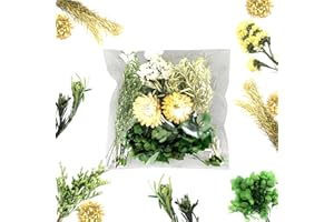 QZKJQDD Suszone kwiaty do majsterkowania, suszone kwiaty, małe suszone kwiaty, do majsterkowania, rzemiosła, dekoracji, żywicy epoksydowej, rzemiosła, scrapbookingu, tworzenia kart (zielony garnitur)