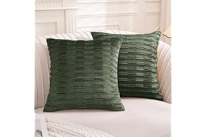 Ystyle Federe Cuscini divano 50 x 50 cm Set da 2, Divano Copricuscini in Velluto Morbido, Moderna per Camera da Divano Letto, con Cerniera Invisibile Lavabili Elegante Resistente, Verde Salvia
