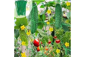 SEASBOES Red de jardín, Red Plantas, Malla Vegetal para Frijol de Guisante, Red De Enrejado De Plantas, Plantas trepadoras Red, para Verduras Frutas Pepino Tomates Plantas de Vid (2 * 5m)