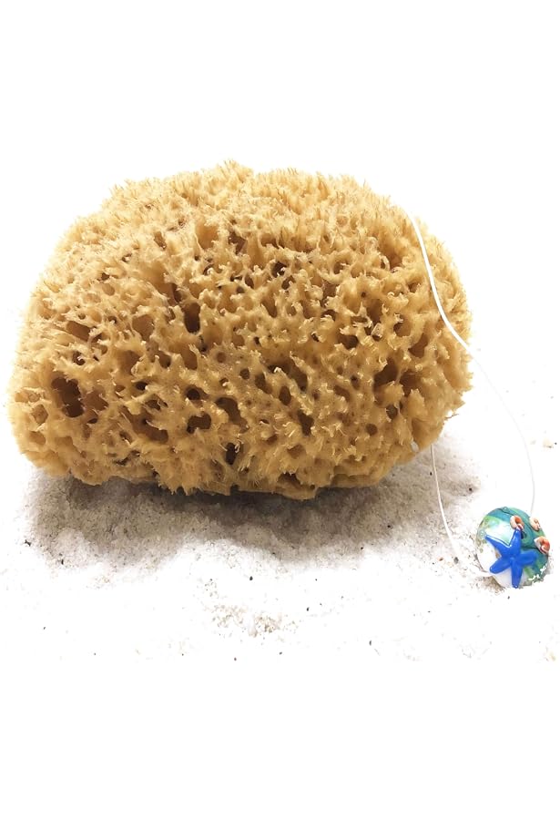 Naturschwamm Aus Dem Mittelmeer – Weicher Bade- Und Gesichtsschwamm, 10 Cm – Für Schonende Hautpflege