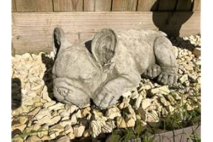 BURGESS HOME & GARDEN Statua di Bulldog francese in pietra ricostituita | Decorazione da giardino in cemento vintage