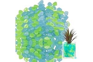 Changyeah Lot de 300 Galets Lumineux Résine pour Jardin, Aquarium, Décoration Extérieure, Passerelle de Jardin d'Aquarium (Mélange de Couleurs)