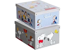 Lavatelli Set 2 pezzi Scatole armadio in cartone, scatole per vestiti e biancheria, per cambio stagione, Snoopy Mix 49x40xh24 cm