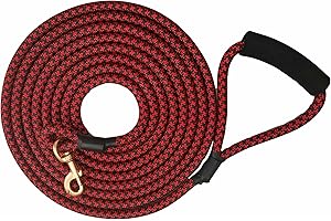 FEILING Smycz dla psa, pleciona, nylonowa, długa smycz edukacyjna dla średnich i dużych psów, smycz treningowa, do biegów biegowych, 3 m, 5 m, 10 m, (5 m, czerwona, 12 mm)