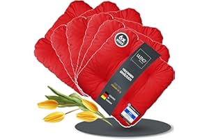 LILENO HOME Lot de 6 coussins de chaise - Rouge - 38 x 38 x 8 cm - Pour chaise de jardin, cuisine ou salle à manger - Confortables - Résistants aux UV - Pour l'intérieur et l'extérieur