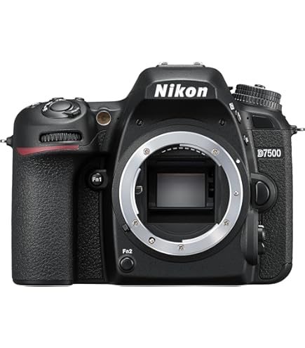 Nikon D500 16-80mm VR : Amazon.it: Elettronica