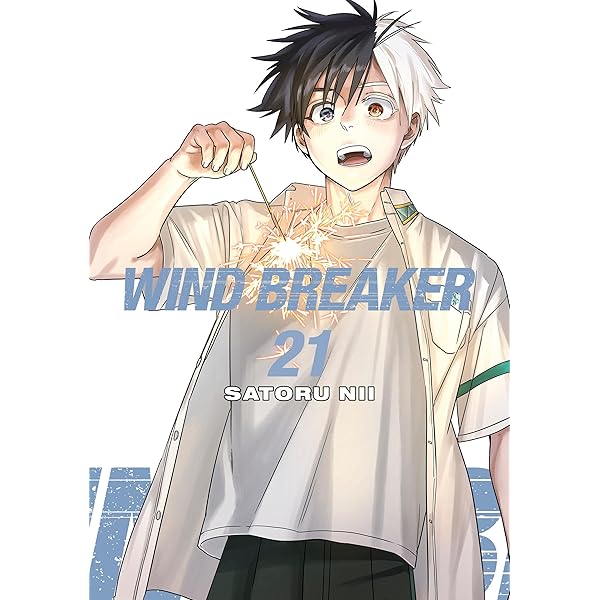 WIND BREAKER 19 : Nii, Satoru: Amazon.in: Books