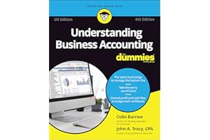 Understanding Business Accounting For Dummies - UK