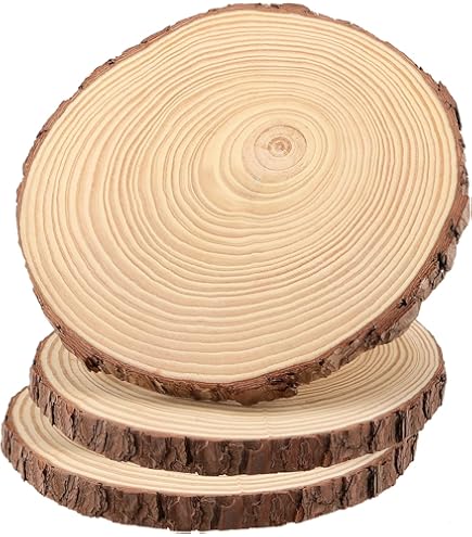 Lot De 15 Disques D'arbre En Bois Avec écorce (4-5 Cm De Diamètre, 1 Cm D'épaisseur) - Wood