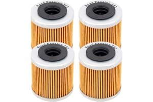 Road Passion Filtre à Huile pour DERBI TERRA ADVENTURE 4T 125 2007-2012 / DERBI SENDA R DRD RACING 4T 125 2012 / DERBI GPR 4T 125 2012 (pack of 4)