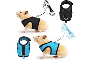 SATINIOR 2 Pieces Guinea Pig Clothes Baby Ferret Rats Hamster Soft Mesh Harness Leash Vest Set with Bell for Guinea Pigs, Hamster, Ferret, Rabbit, Chinchilla and Similar Small Animals
