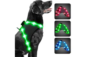 ChalkLit LED Hundegeschirr, Leuchtendes Wiederaufladbares Beleuchtetes Reflektierendes Hundegeschirr Leuchtet Im Dunkeln, LED Hunde-Sicherheitswestenlichter für Nachtspaziergänge (Grün, M)