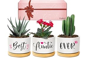 PANDASCH Auntie Gifts, Auntie, Best Auntie Ever Succulent Planters, Birthday Gifts for Auntie from Niece or Nephew, Special Presents for Auntie on Mother's Day Birthday Christmas