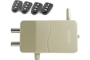 ARREGUI CI10D-AL Serratura di Sicurezza Invisibile per Porta con Allarme Antifurto | 4 Telecomandi, Serratura Elettronica per Porta | Serratura Wireless | Catenaccio Interno | Dorata