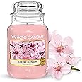 Yankee Candle Candela profumata in giara grande | Fiore di ciliegio | Durata Fino a 150 Ore