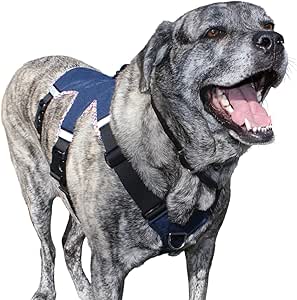 giant breed harness