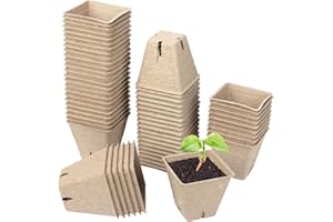 Schramm® Vasi da semina 20, 60 o 100 pezzi in cellulosa Altezza: 5,5 cm vaso per piante biodegradabile Vasi per piante, Anzahl:60 Stück