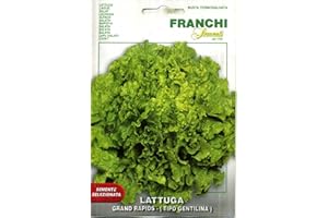 FRANCHI SEMENTI SEMENTI DI ORTAGGI DI QUALITA' PER USO HOBBYSTICO IN BUSTINA TERMOSALDATA (LATTUGA GRAND RAPIDS - tipo Gentilina)