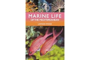 Marine Life of the Mediterranean