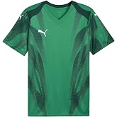 PUMA Teamfinal Graphic+ Jersey Jerseys Men (Pack of 1)