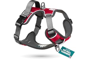 Embark Pets Adventure Dog Harness, No Pull Dog Harness with 2 Leash Clips, for Small Dogs Anti Pull Front & Back with Control Handle, Adjustable, Soft & Padded