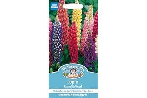 MR FOTHERGILLS Mr Fothergill's Lupin Russell Mixed
