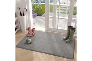 COLOR&GEOMETRY Color G Tapis Entrée Intérieur Paillasson Antidérapant 60 x 90 cm Tapis de Porte Absorbant, Lavable, Tapis pour Intérieur, Extérieur, Chambre, Cuisine, Entrée, Couloir - Gris
