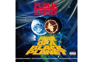 Fear Of A Black Planet