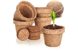 com-four® Juego de Cultivo de Coco de 10 Piezas - Discos de Coco biodegradables en una Maceta - Ayuda para el Cultivo Que Incluye 5 pestañas hinchables y 5 Macetas - Soporte para el Cultivo
