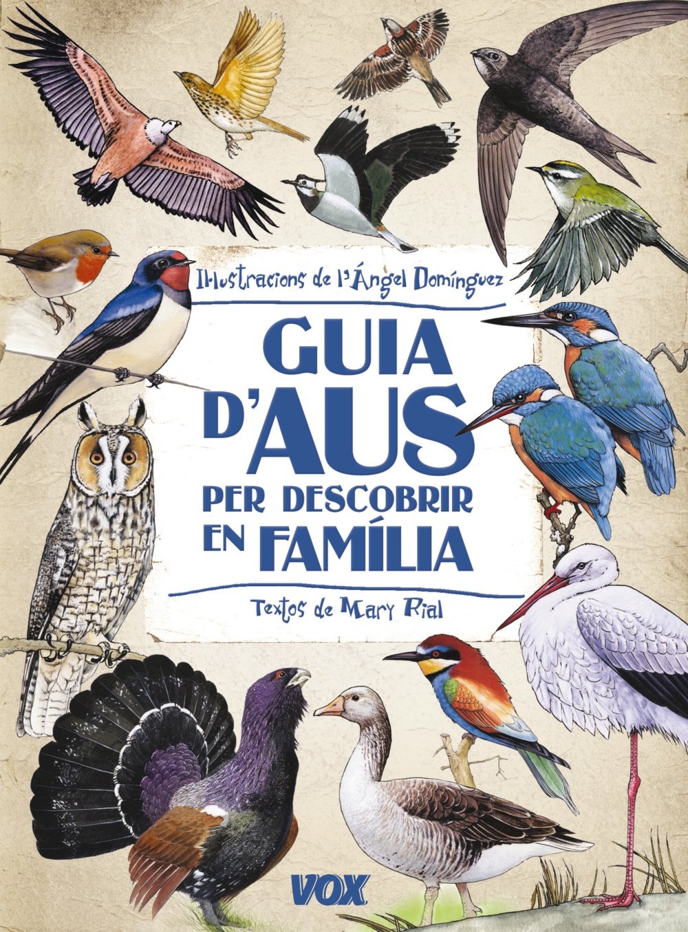 Guia d'aus per descobrir en familia