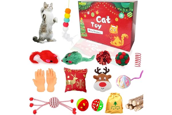 MQIAN 20pcs Jouet Chat Noel Ensemble, Jouet Interactif Souris Balles, Boite Cadeau Chat Noel, Cat Toy