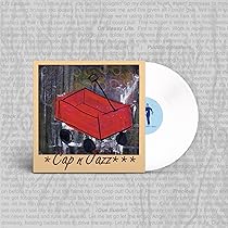 Analphabetapolothology : Cap'N Jazz, Cap'N Jazz: Amazon.it: CD e