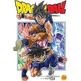 Dragon Ball Super, Vol. 20 (Volume 20)