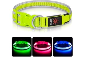 Leuchthalsband Hund, Colaseeme LED Hunde Leuchthalsband, Wasserdicht Hundehalsband Leuchtend, HundeleuchthalsbäNder Aufladbar für Pet Night Walking Safety, grün M