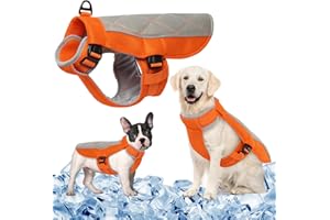MHaustlie Chaleco Refrigerante para Perro, Chaleco de Enfriamiento para Perros, Haquetas de Enfriamiento de Perros de Malla, Chaqueta Refrescante para Perro con Arnés y Anillo en D (XL,Naranja)