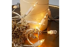 Hellum 831191 Adatto per uso interno 10lampada(e) Adatto per uso esterno LED Bianco illuminazione decorativa