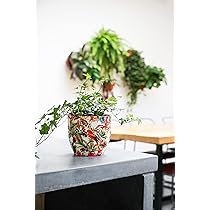 Ivyline Puro - Vaso per piante da appartamento in gres porcellanato di alta qualità, con bordo lucido, per piante d'appartamento, altezza 19 cm x profondità 21 cm, colore: pesca