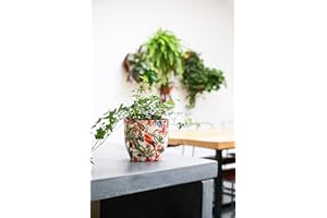 Ivyline Monza Tropischer Papagei H 17 cm T 17 cm