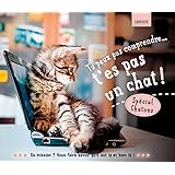 Mon Chat Est Un Psychopathe Les Nevroses Hilarantes Mais Crispantes De Votre Felin Prefere Hors Collection Animaux Amazon Es Bonotaux Gilles Lasserre Helene Libros En Idiomas Extranjeros
