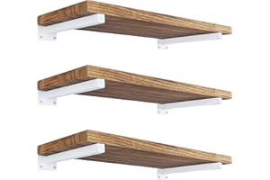 EZYDECOR 6 Pcs Heavy Duty Shelf Brackets 8 Inch Wall Mounted Industrial Metal Shelving Supports (White)