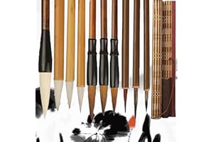 WSNDM 10 Pinceles de Pintura China para Principiantes, Pincel de Caligrafía Tradicional China, Adecuado para la Pintura de Tinta y Acuarela