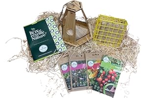 CAILLARD DEPUIS 1873 CAILLARD - Box Biodiversité - Coffret Écosystème Jardin - Revitalisation Faune & Flore - Mangeoire Oiseaux, Bloc de Graisse avec Support & Sachets de Graines de Fleur et Potagères - Certifié sans OGM