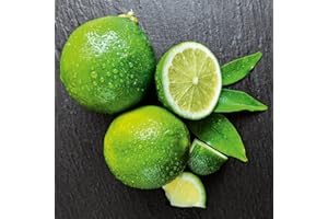 Eurographics dc1271 Lime on Black sur Verre, Verre, Vert, 20 x 20 x 1,7 cm