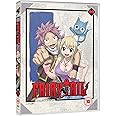Fairy Tail - Part 20 - Standard DVD