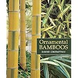 Ornamental Bamboos