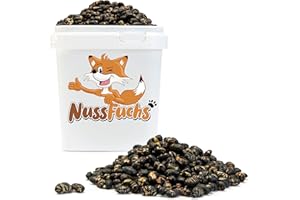 NUSSFUCHS Sojabohnen 2kg - schwarze Sojabohnen geröstet & gesalzen vegan glutenfrei ohne Zusätze schwarze Edamame Bohnen ohne Fett geröstet knuspriger Snack für zwischendurch (2kg im Behälter)
