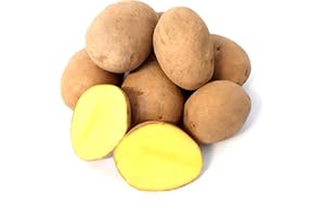‎LAMERA Kartoffel Afra mehlige Kartoffeln 1-25 Kg deutsche Speisekartoffel perfekt für Kartoffelsuppe, Püree, Knödel, Kroketten, Ofenkartoffeln Aufläufe Salzkartoffeln auch zum Grillen geeignet (1) Ernte 2024