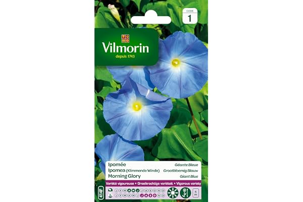 Vilmorin 5323541 Ipomée à Grande Fleur, Bleu, 90 x 2 x 160 cm